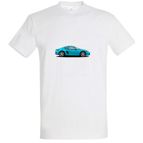 Porssche (14)